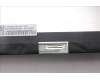 Lenovo 5D10S39980 DISPLAY LCD MODULE L 82RL