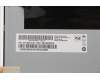 Lenovo 5D10W33972 DISPLAY AUO 19.5W TN M195RTN01.0LEF