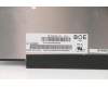 5D10W69930 Lenovo DISPLAY FRU BO NV156FHM-T07 V8.0 FHDI AG