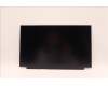 Lenovo 5D11C22964 DISPLAY FRU BO NE156QUM-N6C V8.1 UHDI AG