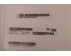 Lenovo 5D11D04240 DISPLAY FRU HK MB140AN01-5 HDT AG