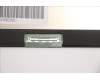Lenovo 5D11F30354 DISPLAY FRU MNF601CA1-1 WQHD Color COST