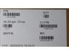 Lenovo 5D11L40981 DISPLAY FRU MNG007DA2-3 16WQX ColorCSO