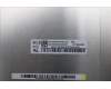 Lenovo 5D11M45495 DISPLAY FRU BOE NV140WUM-N4E V8.0