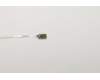 Lenovo 5F30W90821 FINGER_PRT FP BD C 81NF W/FFC_COPPER