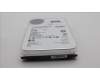 Lenovo 5H21C73427 HDD_ASM FRU ST 3.5\" 7.2K SATA EvenBP 12T