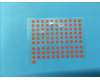 Lenovo 5L18C17577 WATERPROOFLABEL&HQ23100039000 CS