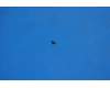 Lenovo 5M88C00196 A7-10F Screw&*110100698 CS