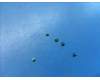 Lenovo 5M88C21890 SP101FU Screw_M1.4_1.6mm&*80604-00005 CS