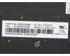 Lenovo 5N20V43055 NB_KYB CMSK-CS20,BK-BL,CHY,POR