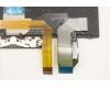 Lenovo 5N20V78139 NB_KYB CMNM-CS20,BK-BL,LTN,IND ENG