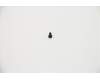 Lenovo 5S10S35136 SCREW Screw L 81TC 2D6LK3.5D0.3TNL*B