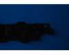 Lenovo 5SB8C02074 A8-50F Speaker Ant Box &*46366403 CS