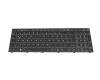 6-80-NJ500-07A-K teclado original Clevo DE (alemán) negro/blanco/negro con retroiluminacion (retroiluminación blanca)