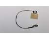 Lenovo CABLE ZIWB3 LCD Cable WO/Camera Cable NT para Lenovo B51-30 (80LK)