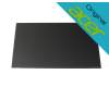 Acer KL.16005.017 original IPS pantalla (1920x1200) mate 60Hz