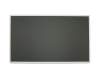 Alternativa para Lenovo 0XM5XG TN pantalla (1366x768) mate 60Hz