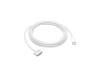 Apple MW613ZM/A USB-C a MagSafe 3