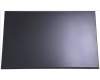 Acer KL.16005.004 LCD PANEL.16\'.WQXGA.NGL.AUO