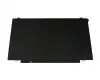 Lenovo SD10F30914 original TN pantalla HD (1366x768) mate 60Hz