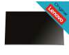 Lenovo SD11F27457 original IPS pantalla (2560x1440) mate 100Hz