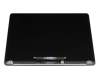 Unidad de pantalla 13.3 pulgadas (WQXGA 2560x1600) gris (Retinea IPS True Tone TFT) para Apple A2179 (EMC 3302)