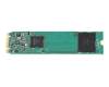 Western Digital SA510 WDS500G3BOB-00AXS0 SSD 500GB (M.2 22 x 80 mm)